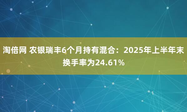 淘倍网 农银瑞丰6个月持有混合：2025年上半年末换手率为24.61%