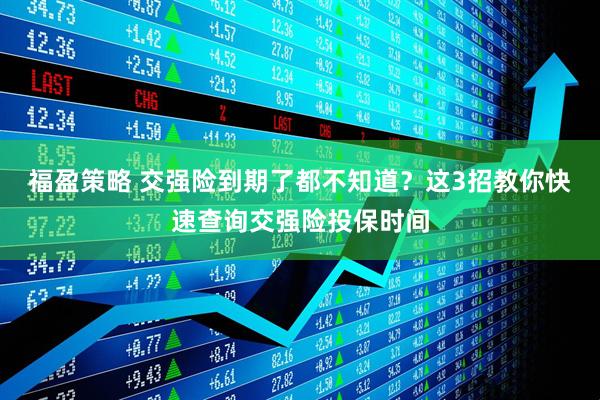 福盈策略 交强险到期了都不知道？这3招教你快速查询交强险投保时间