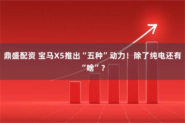 鼎盛配资 宝马X5推出“五种”动力！除了纯电还有“啥”？