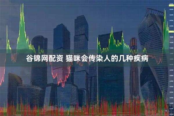 谷锦网配资 猫咪会传染人的几种疾病