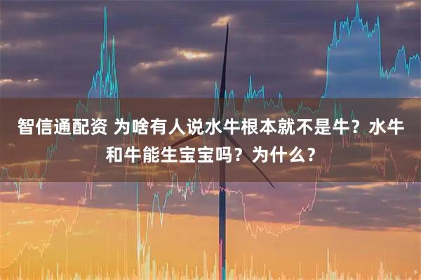 智信通配资 为啥有人说水牛根本就不是牛？水牛和牛能生宝宝吗？为什么？